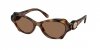 OKULARY SWAROVSKI SK 6050 100273 52 ROZMIAR M